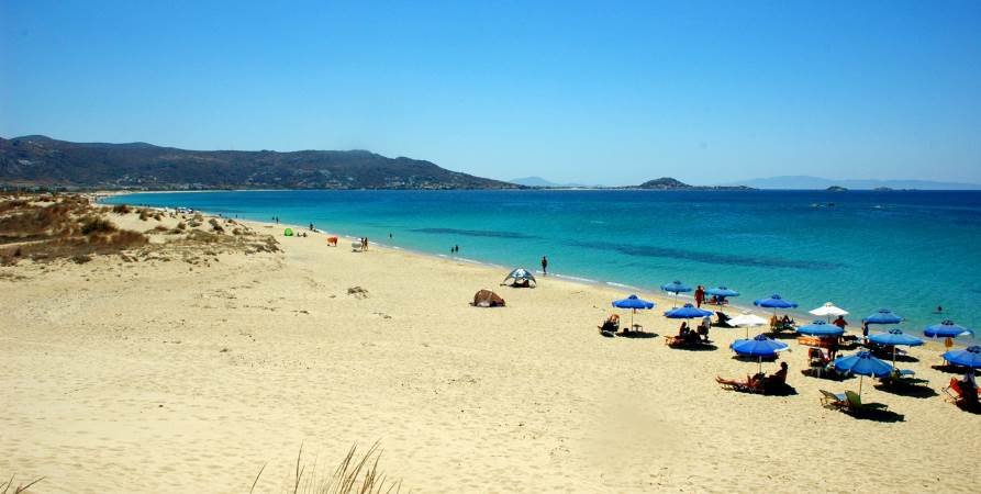 rent a car naxos plaka